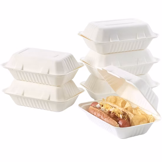 Bandeja de papel de celulose de bagaço de cana-de-açúcar compostável, biodegradável, descartável, para viagem, recipiente de alimentos, lancheira