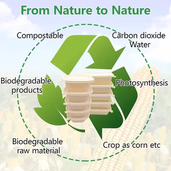 Recipiente de alimentos descartáveis, atacado, amido de milho, armazenamento de bagaço, biodegradável, bento, lancheira rápida com tampa
